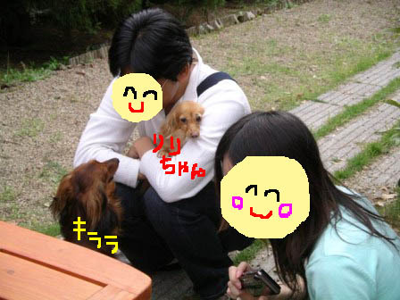 かのんさんパパさんに、リリ・キララbbb.jpg