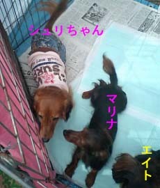くつろぎ中bのコピー.jpg