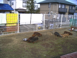 ひあたりb.jpg