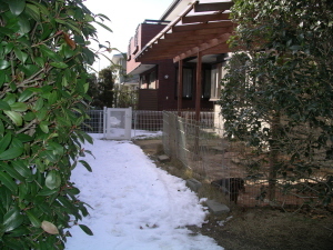 まだ雪がb.jpg