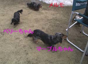 まべーbのコピー.jpg