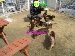 モカパパさんとワイワイbのコピー.jpg