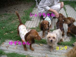 ヨンタものコピー.jpg