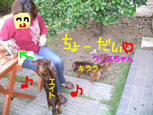 クリままとエイトのコピー.jpg