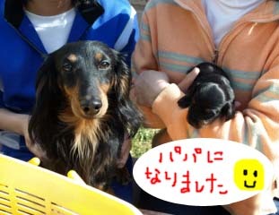 クロちゃんべび3bのコピー.jpg