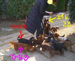 コタロままさんにbのコピー.jpg