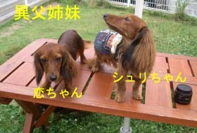 シュリ2こいちゃんとbのコピー.jpg