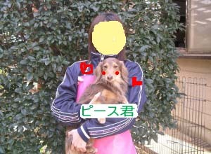 ピーとbのコピー.jpg