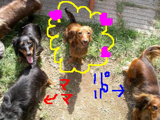 庭14うれしい♪be.jpg