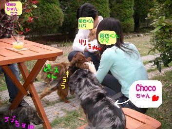 かのんさんにキララbbのコピーb.jpg