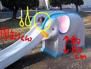 ぞうさんとエイト固まりくん.jpg