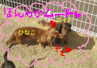 コタロままさんにbのコピー.jpg