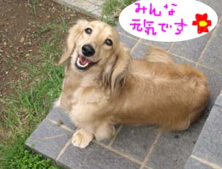 ひめこ1Bのコピー.jpg