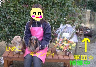 ひめこ上目bのコピー.jpg