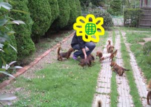 ゆずひま10翌日あさb.jpg
