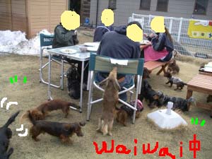 わやわやb.jpg