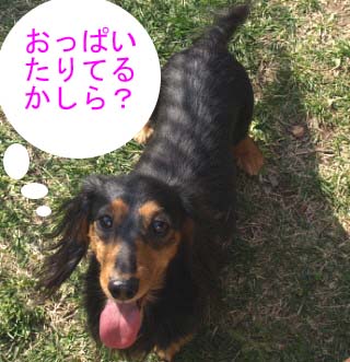 ルンおばあちゃんのコピー.jpg
