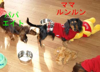 ルンルンカメラ目線bのコピー.jpg