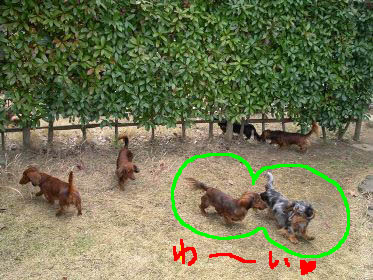エイトときゃんかけっこ皆もB1.jpg