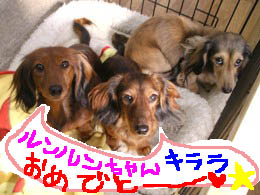 エイトとモモコ絵つき11月B.jpg
