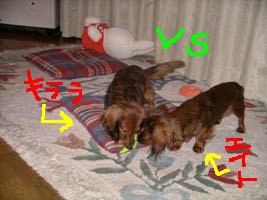 エイトとキララおもちゃB1.jpg
