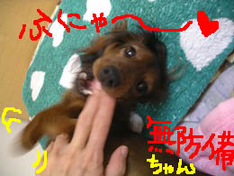 エイトふにゃにゃBむぼうび.jpg