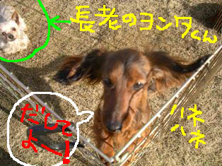 エイトよんたと。b.jpg