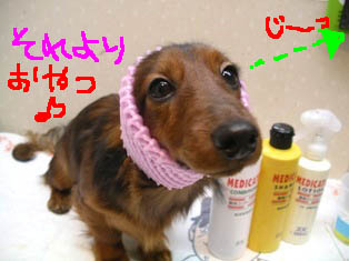 エイトりんご君.jpg