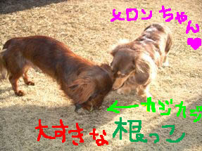 エイトメロン絵.jpg
