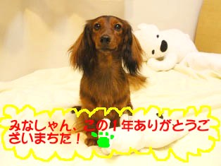 エイトシャンプー後1bのコピー.jpg