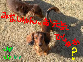 エイト元気Be.jpg