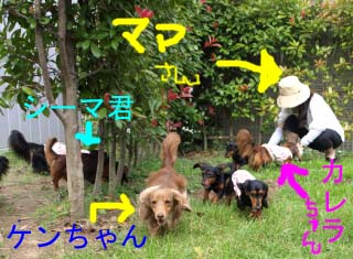 カレbのコピー.jpg