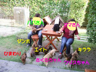 クリクリぱぱまま1のコピー.jpg