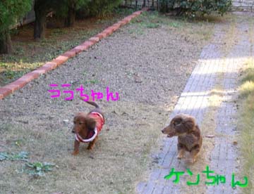 ケンちゃんとららe.jpg