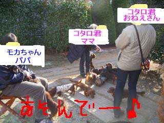 コタロとワイワイbのコピー.jpg
