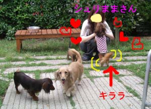 シュまま6キララにラブbのコピー.jpg