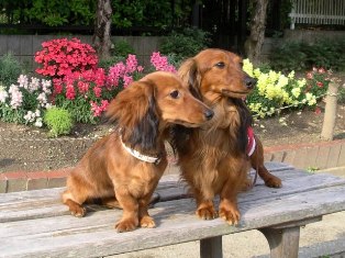 シュリちゃんとキララ公園b.jpg
