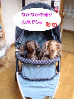 ピーエイトbのコピー.jpg