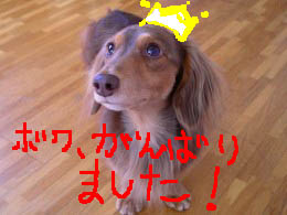 ピース可愛い1b冠.jpg
