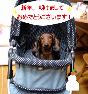 ブルーコ内bのコピー.jpg