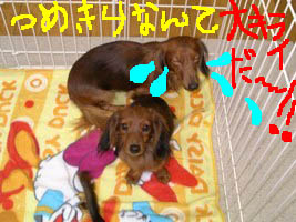 ベック目線泣き.jpg