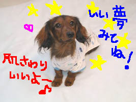 可愛いエイトぱじゃまB絵.jpg