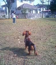 公園で1.jpg
