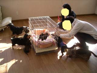 赤ちゃんひなたb.jpg