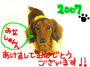 新年エイト2絵.jpg