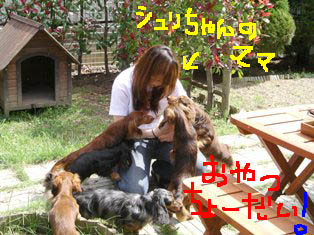 庭1be.jpg