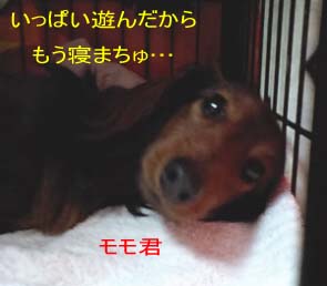 momo顔bのコピー.jpg
